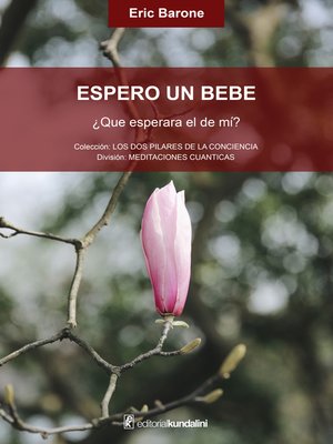 cover image of Espero un bebé